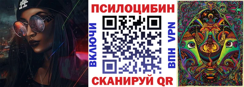 дарнет шоп  Холмск  Галлюциногенные грибы Magic Shrooms 