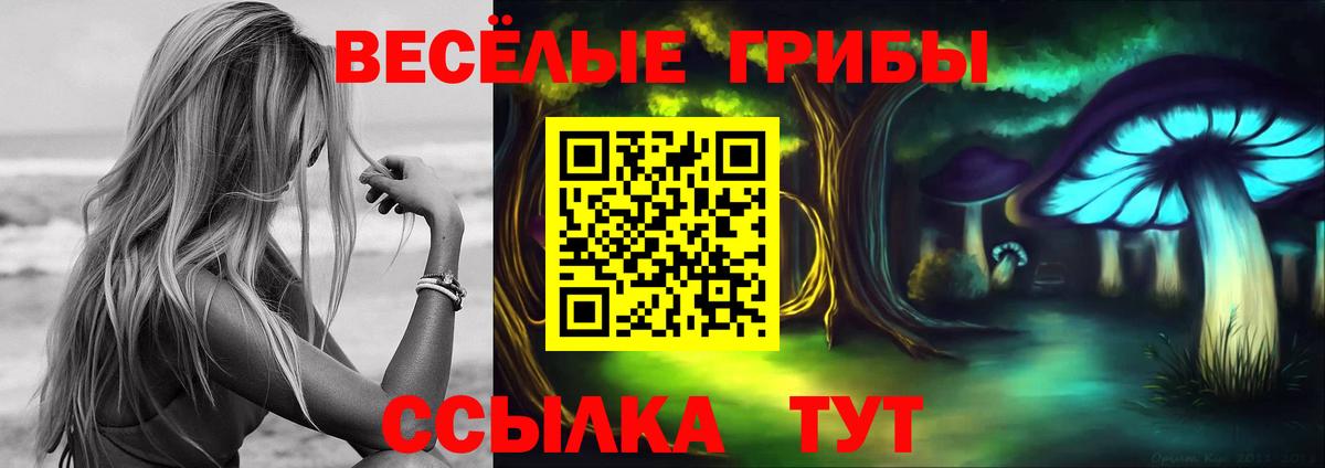 Псилоцибиновые грибы мицелий  сколько стоит  Холмск  Вход с VPN 